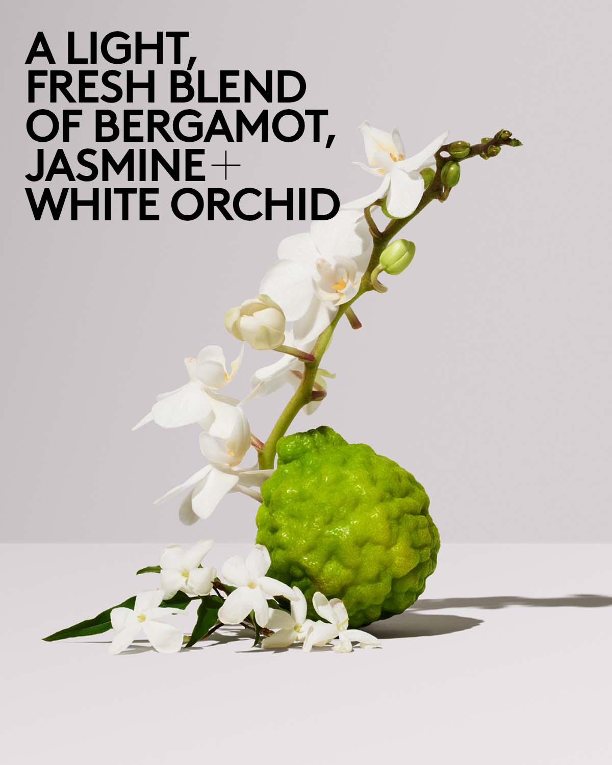 Butta Drop Hydrating Body Milk — Salted Caramel - 图片 5